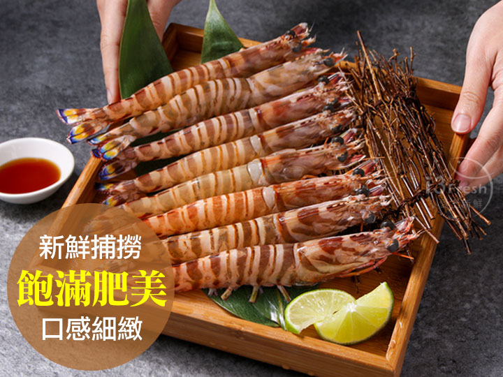 澎湖活凍野生明蝦