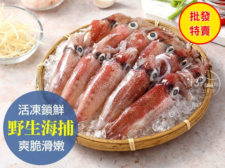 批發價--東北角野生鮮凍小卷20入