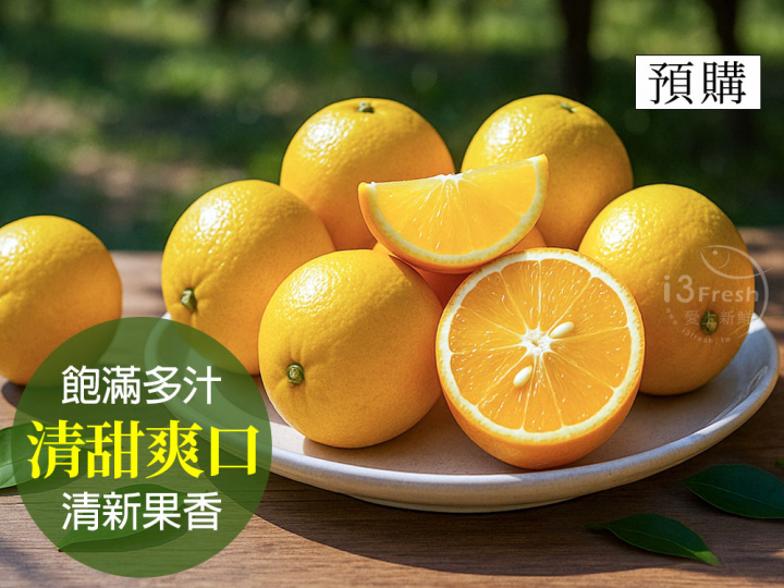 鮮採黃蜜橙10斤