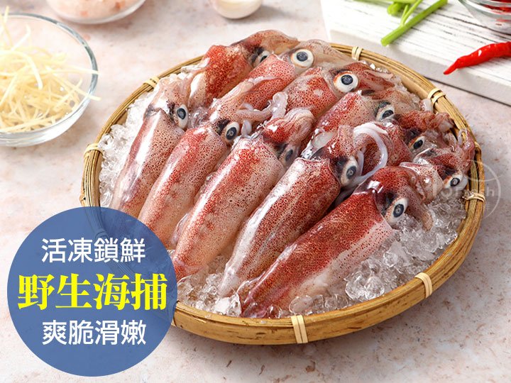 東北角燈捕野生鮮凍小卷