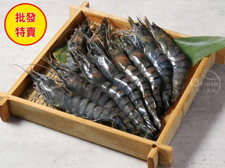 批發價--極品活凍大草蝦20